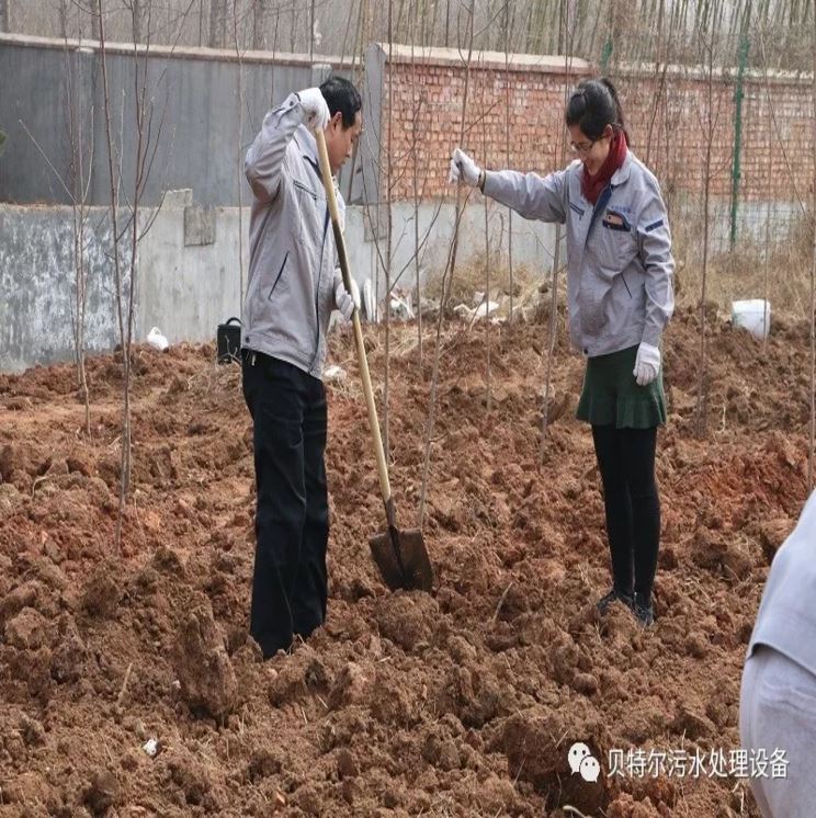 贝特环保开展“积极参加义务植树,建设美丽贝特环保”活动