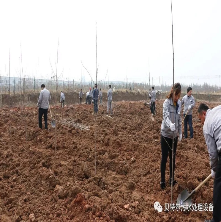 贝特环保开展“积极参加义务植树,建设美丽贝特环保”活动