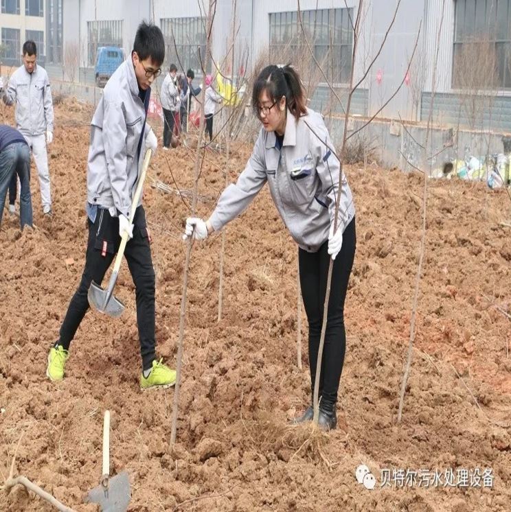 贝特环保开展“积极参加义务植树,建设美丽贝特环保”活动
